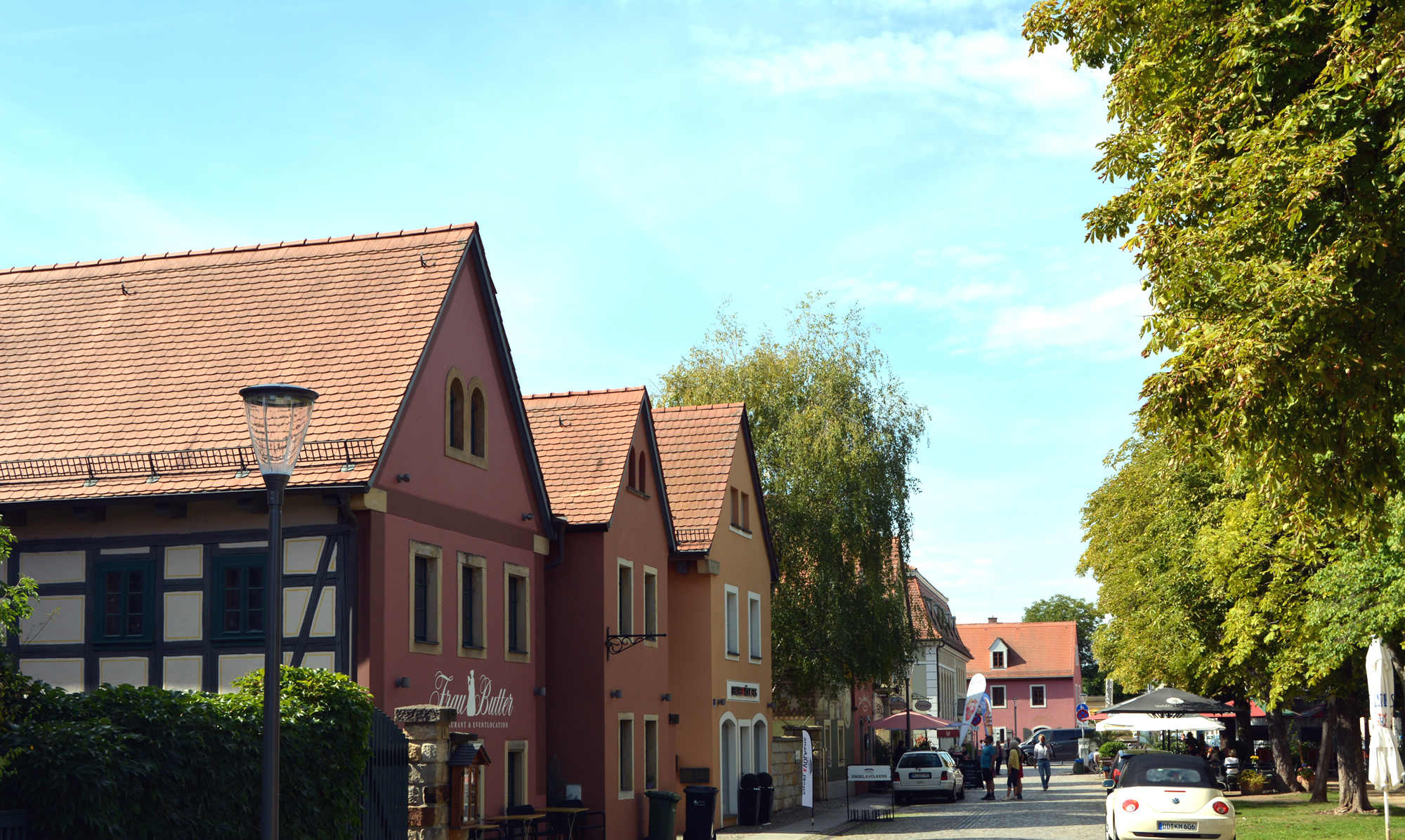 dsc-0031.11.63233af120343